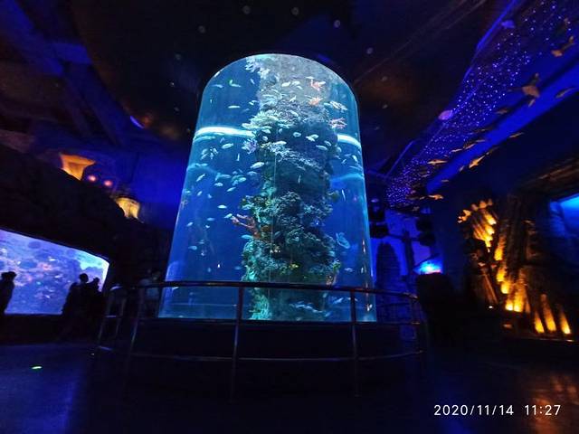 芜湖新华联大白鲸海洋公园