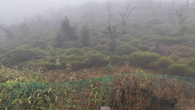 云冰山旅游景区