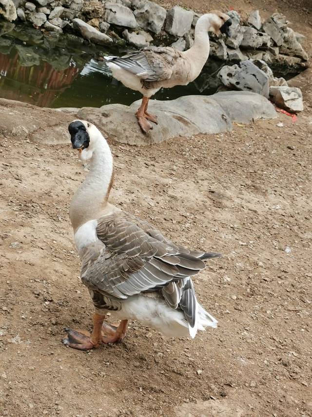 厦门老院子景区
