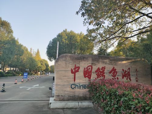 中国扬子鳄景区