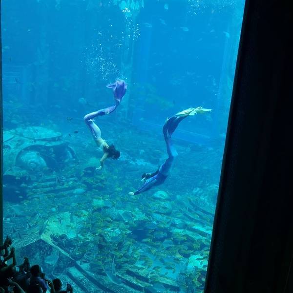 三亚亚特兰蒂斯失落的空间水族馆