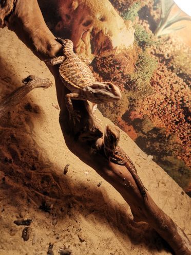 安阳万意长风海洋探索馆