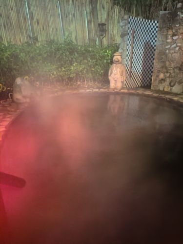 明月山维景国际温泉