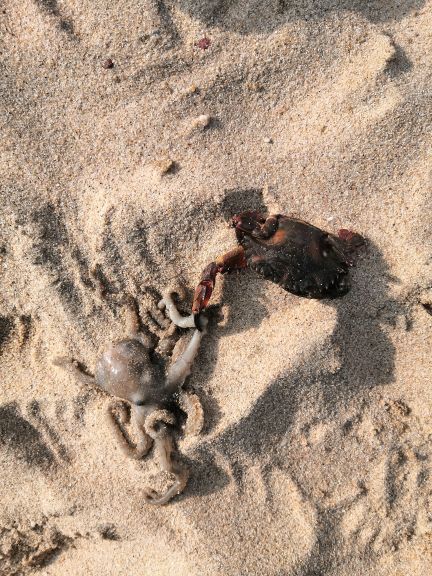 厦门五缘湾拓海帆船俱乐部