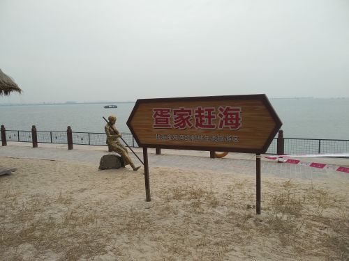 红树林西门赶海