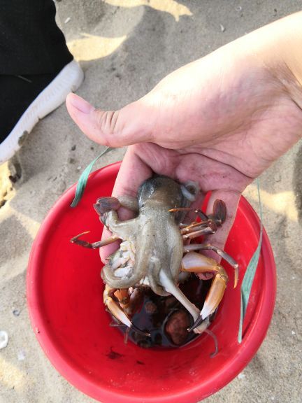 厦门五缘湾拓海帆船俱乐部