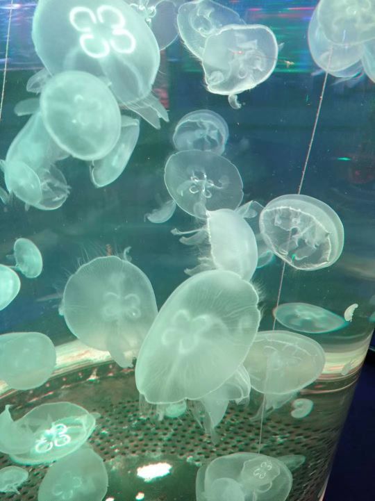 金华万泰海立方海洋公园