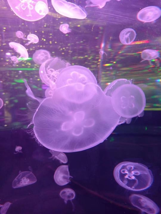 金华万泰海立方海洋公园