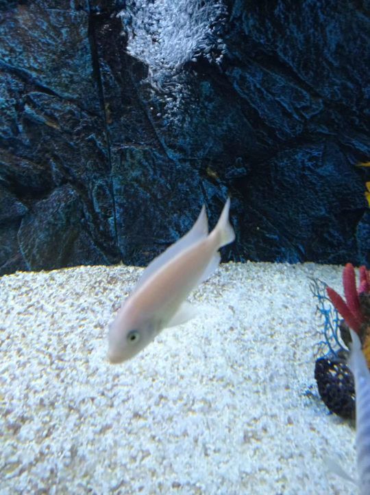 金华万泰海立方海洋公园