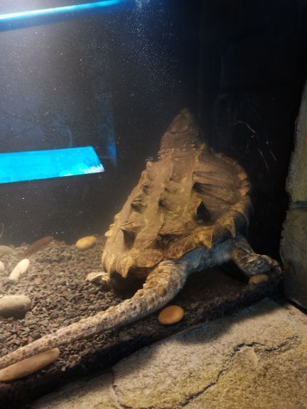 海之语海洋世界