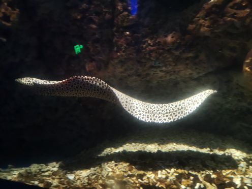 安阳万意长风海洋探索馆