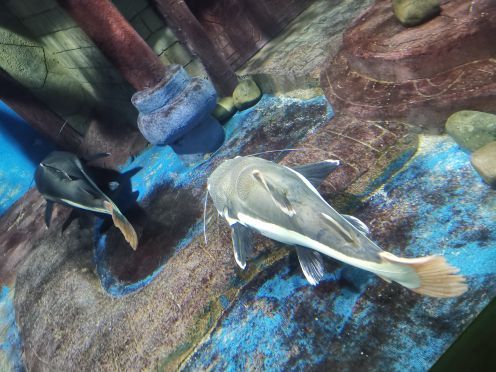 安阳万意长风海洋探索馆