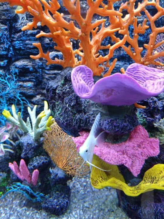 金华万泰海立方海洋公园