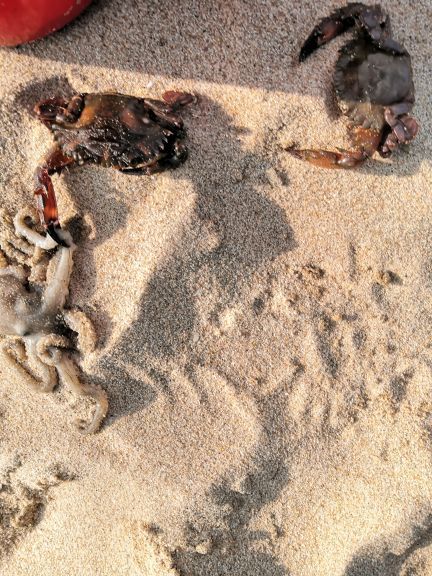 厦门五缘湾拓海帆船俱乐部