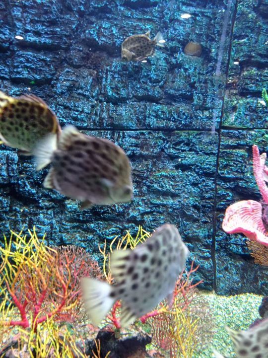 金华万泰海立方海洋公园