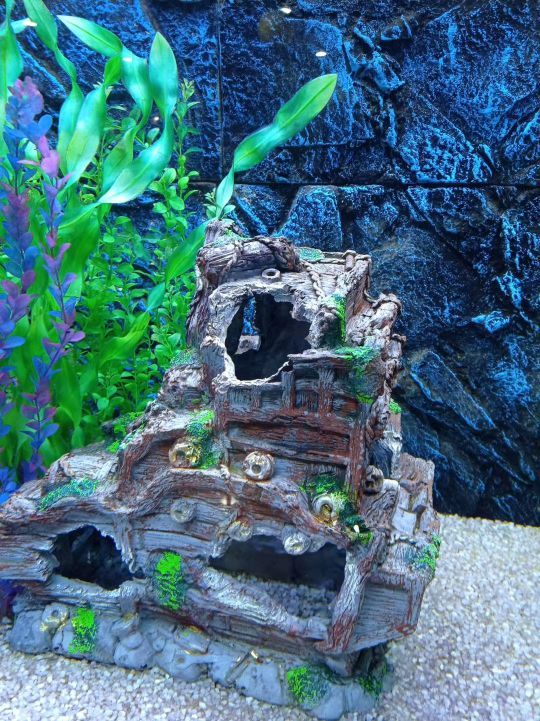 金华万泰海立方海洋公园