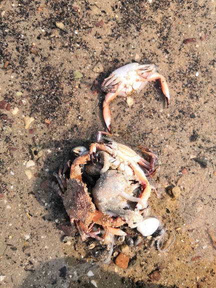 厦门五缘湾拓海帆船俱乐部