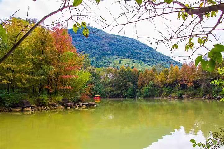 "感谢司机师傅，技术很好，导游的耐心讲解_月亮山"的评论图片