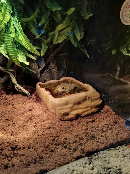 海之语海洋世界