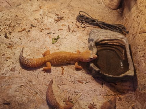 安阳万意长风海洋探索馆