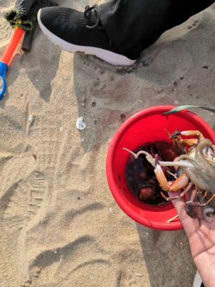 厦门五缘湾拓海帆船俱乐部