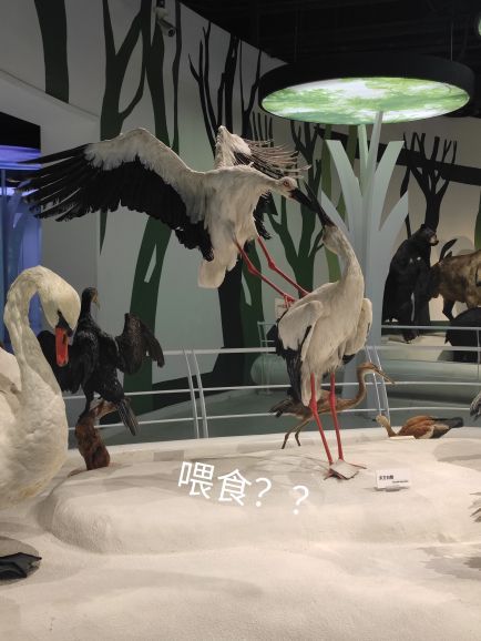 重庆自然博物馆