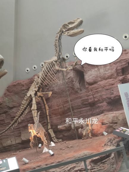 重庆自然博物馆