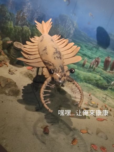 重庆自然博物馆