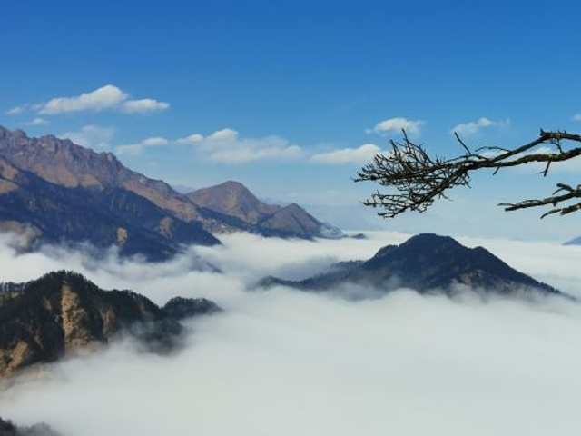 西岭雪山值得一去坐索道上山顶全程索道时间就十来分钟左右山顶蓝天