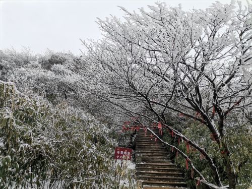 金佛山北坡景区