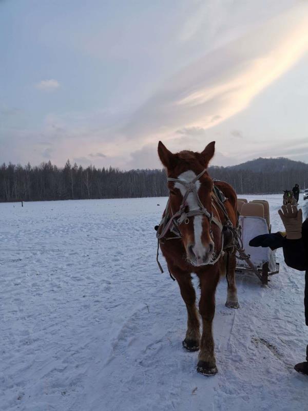 亚布力阳光度假村