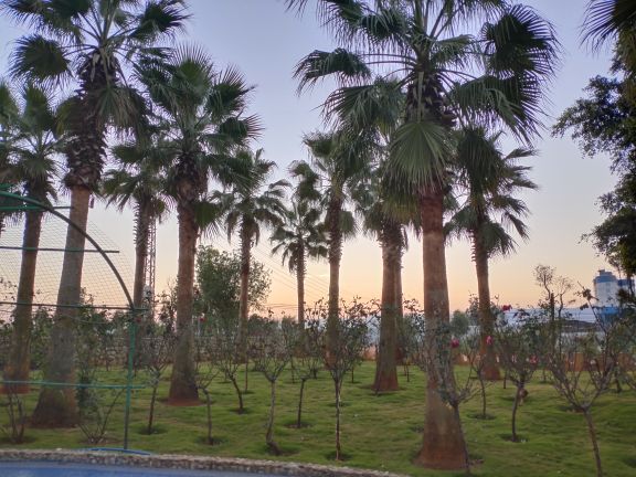 万花谷玫瑰庄园温泉