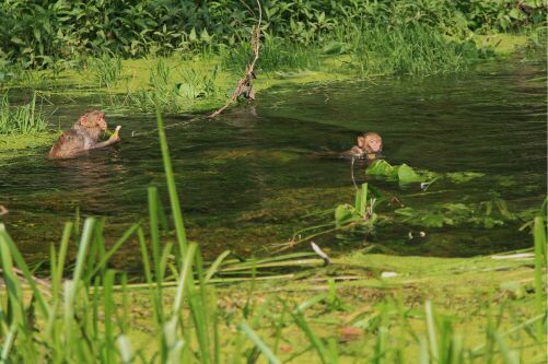 民族风情游览区