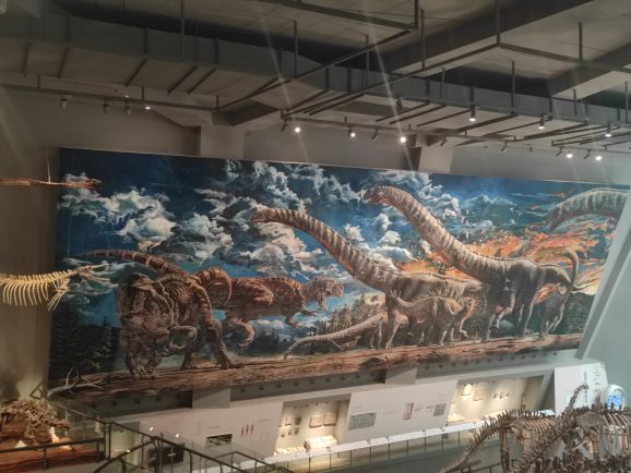 重庆自然博物馆