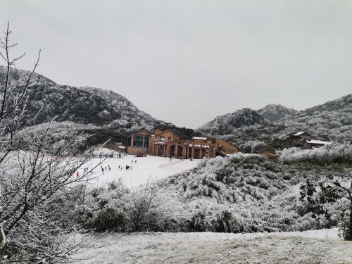 金佛山北坡景区