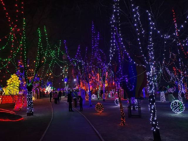 贾家庄动物王国