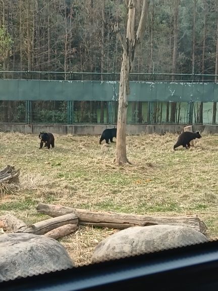 长沙生态动物园