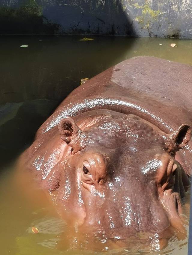 西双版纳野生动物园