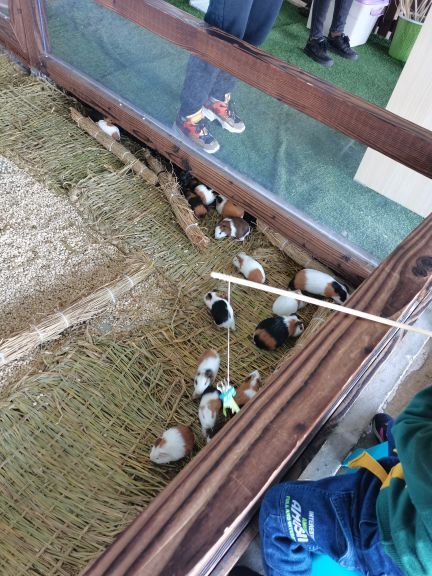 汤山紫清湖旅游区