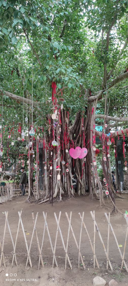 塔山旅游风景区