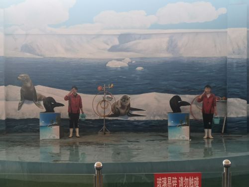 大青山野生动物世界