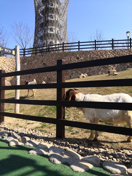 融创·欢喜欢喜乐园