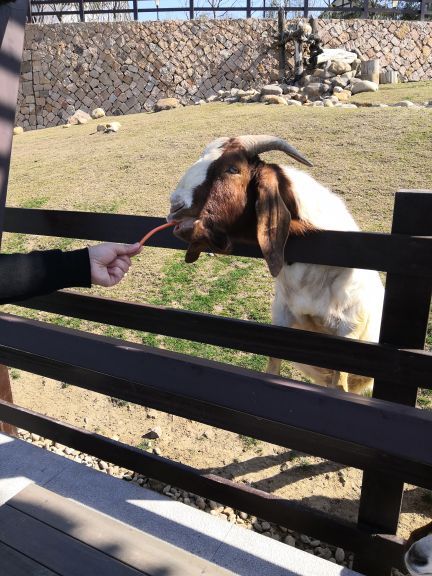 融创·欢喜欢喜乐园