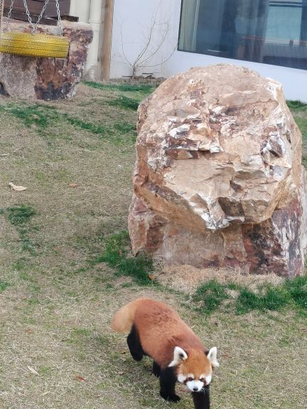 汤山紫清湖旅游区