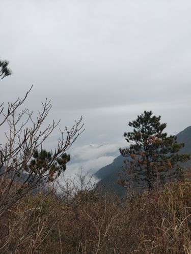 闽江源生态旅游区（金铙山风景区）