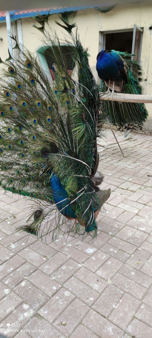 塔山旅游风景区