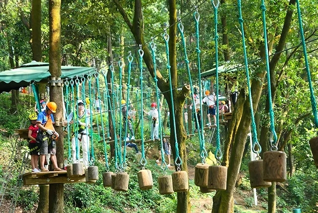 飞越丛林探险乐园