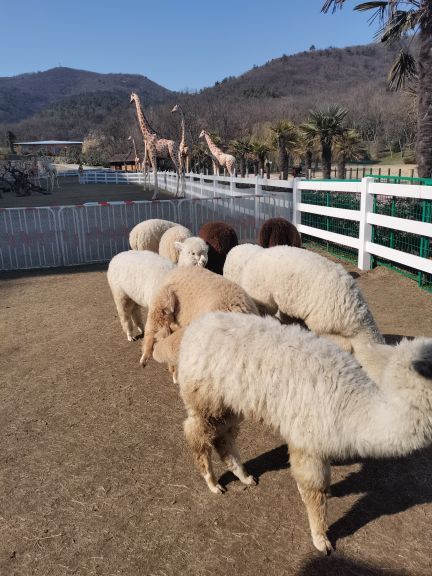 汤山紫清湖旅游区