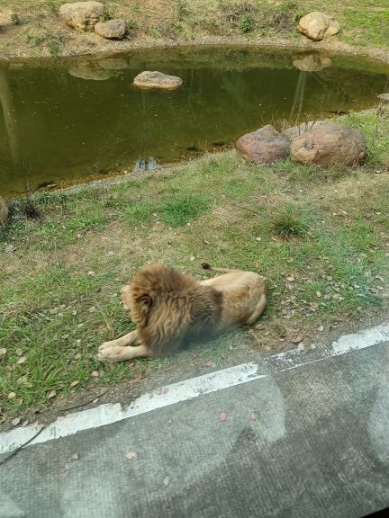 长沙生态动物园