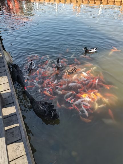 汤山紫清湖旅游区